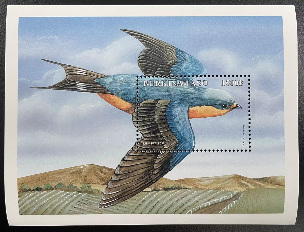 Burkina Faso 1998 YT Bl. 74 Rauchschwalbe Vogel Fauna Wildlife