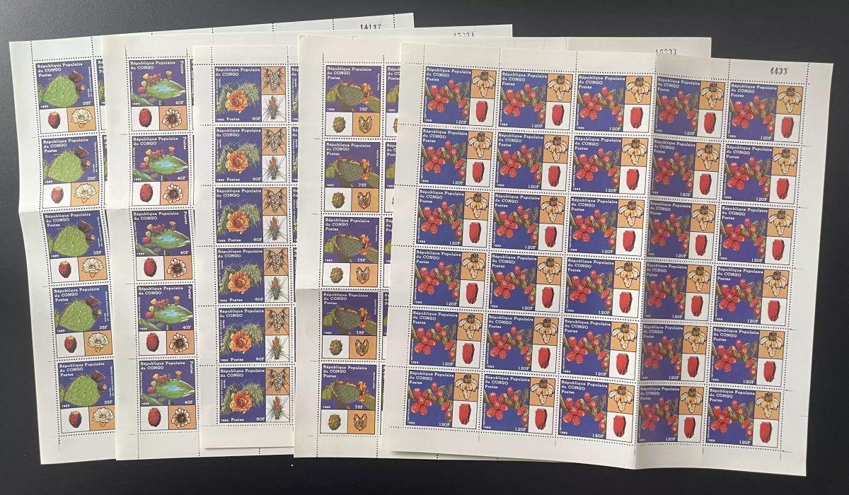 Congo 1989 YT 855-859 planche Cactus fleurs plantes succulentes flora