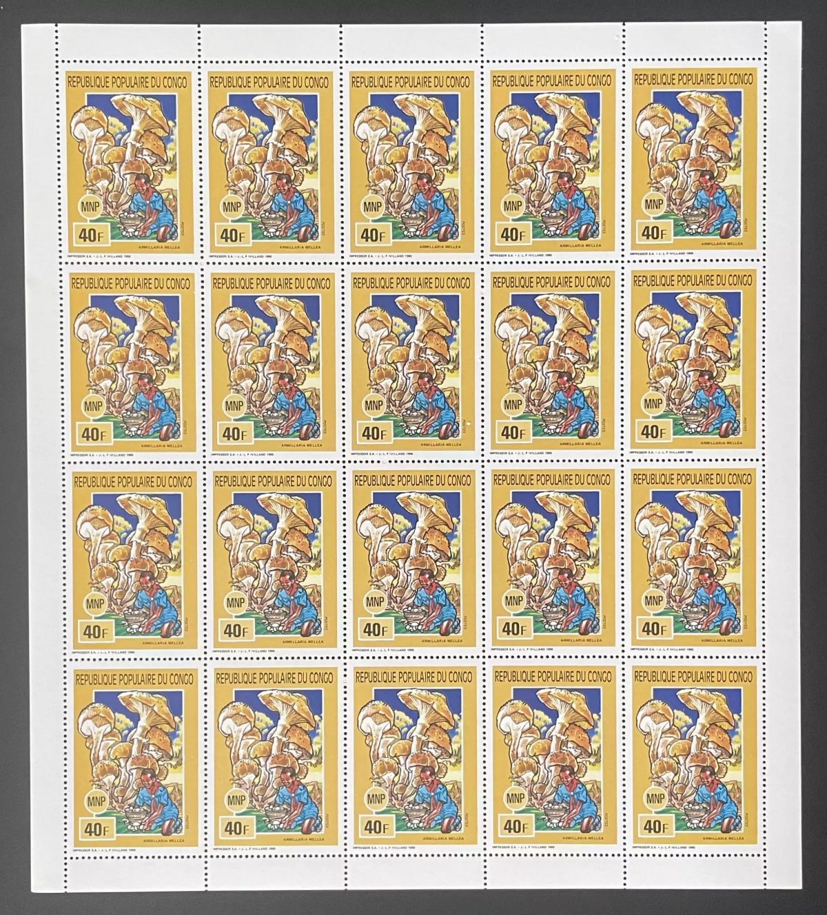 Congo 1990 Yt 884 planche champignons nature flore MNP scouts scoutisme
