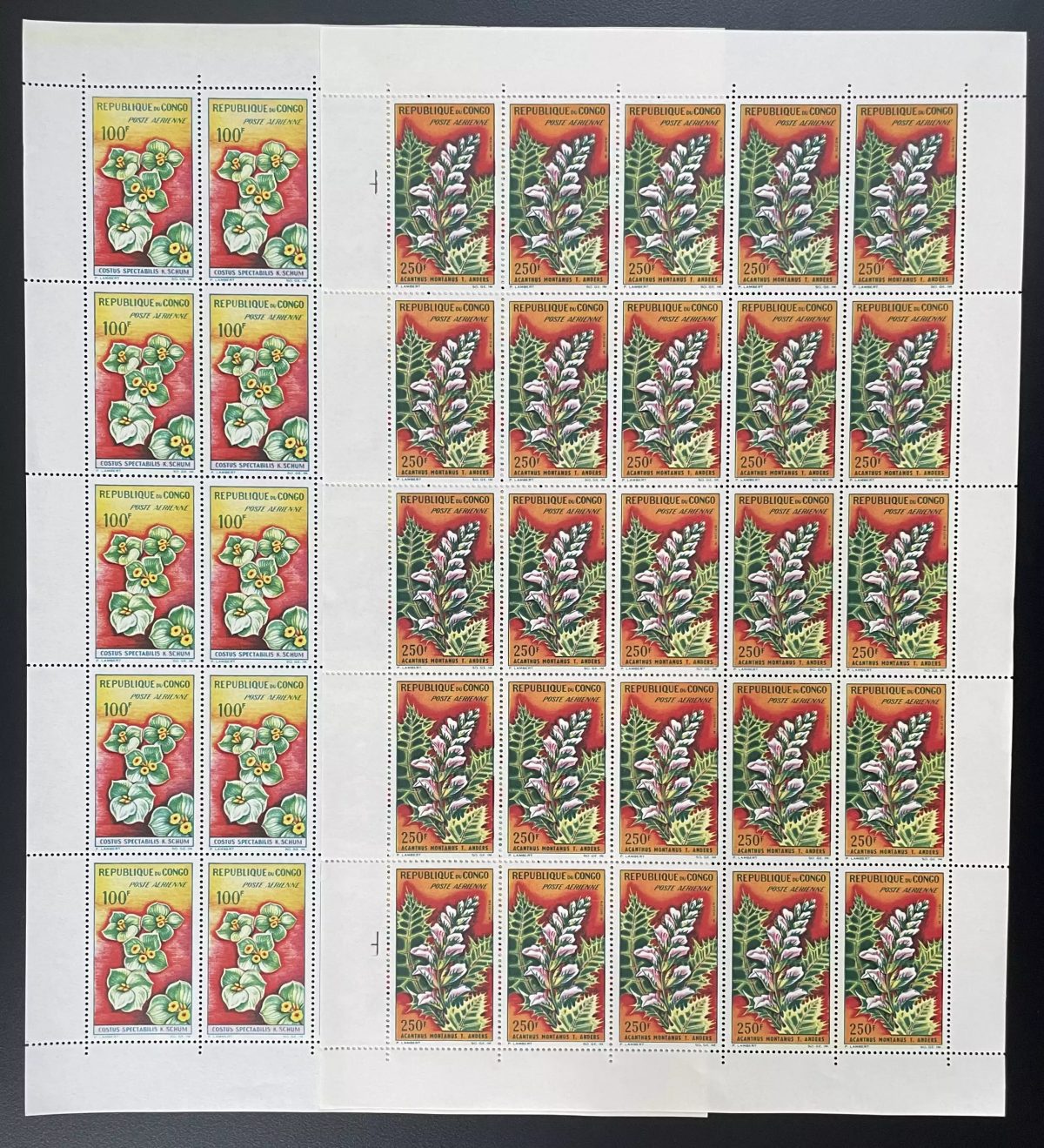 Congo 1963 YT PA 8-9 planche fleurs nature botanique poste aérienne airmail