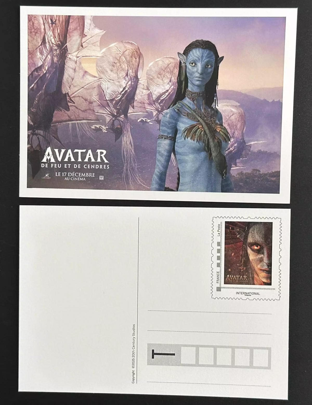Entier 2025 Carte postale PAP La Poste Avatar De Feu et de Cendres