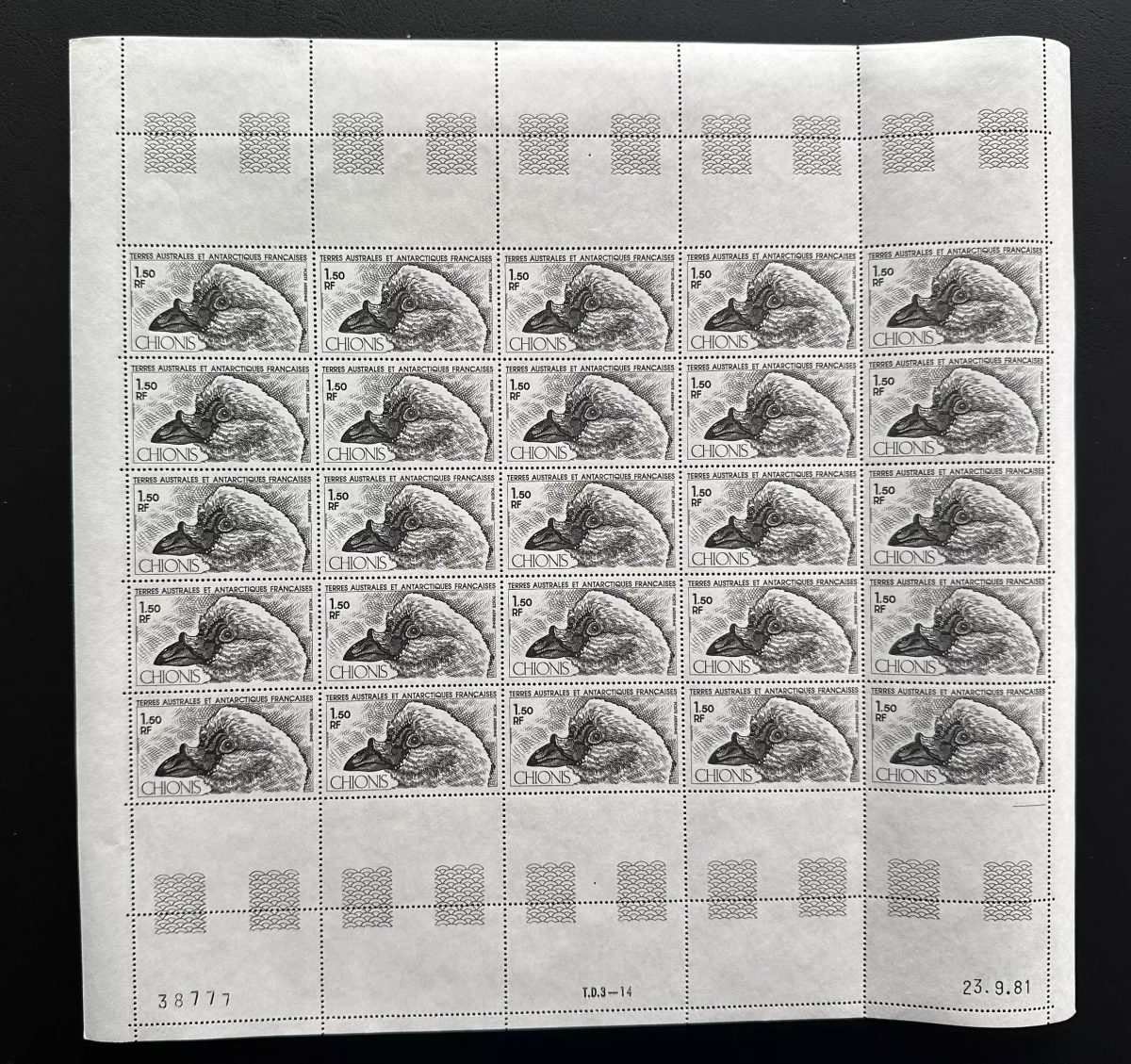 TAAF 1981 YT PA 67 Bogen Chionis Antarktis Vogel Fauna