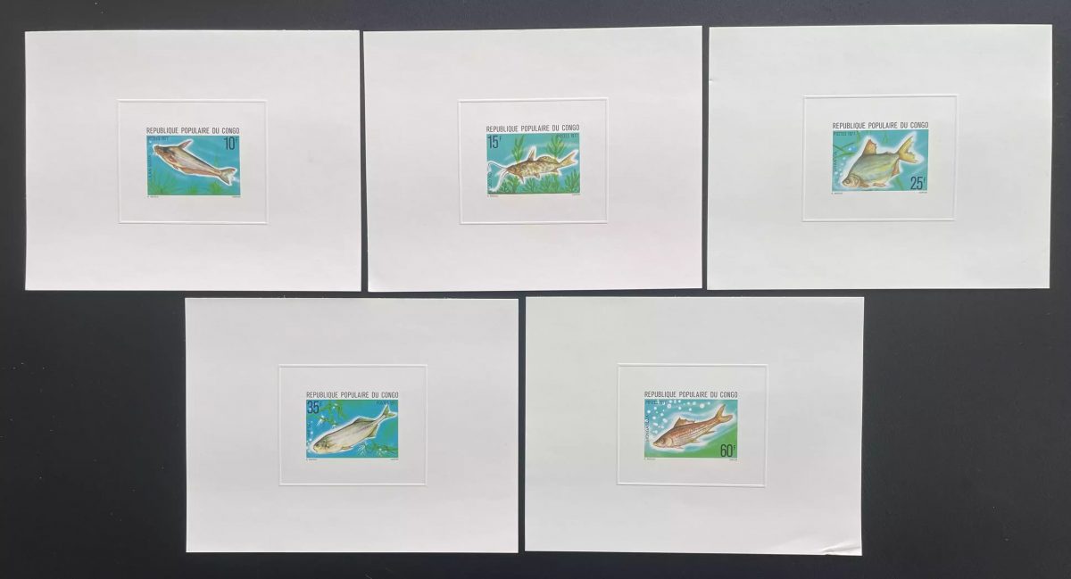 Congo 1977 Mi. 564 - 568 épreuve de luxe poissons faune aquatique