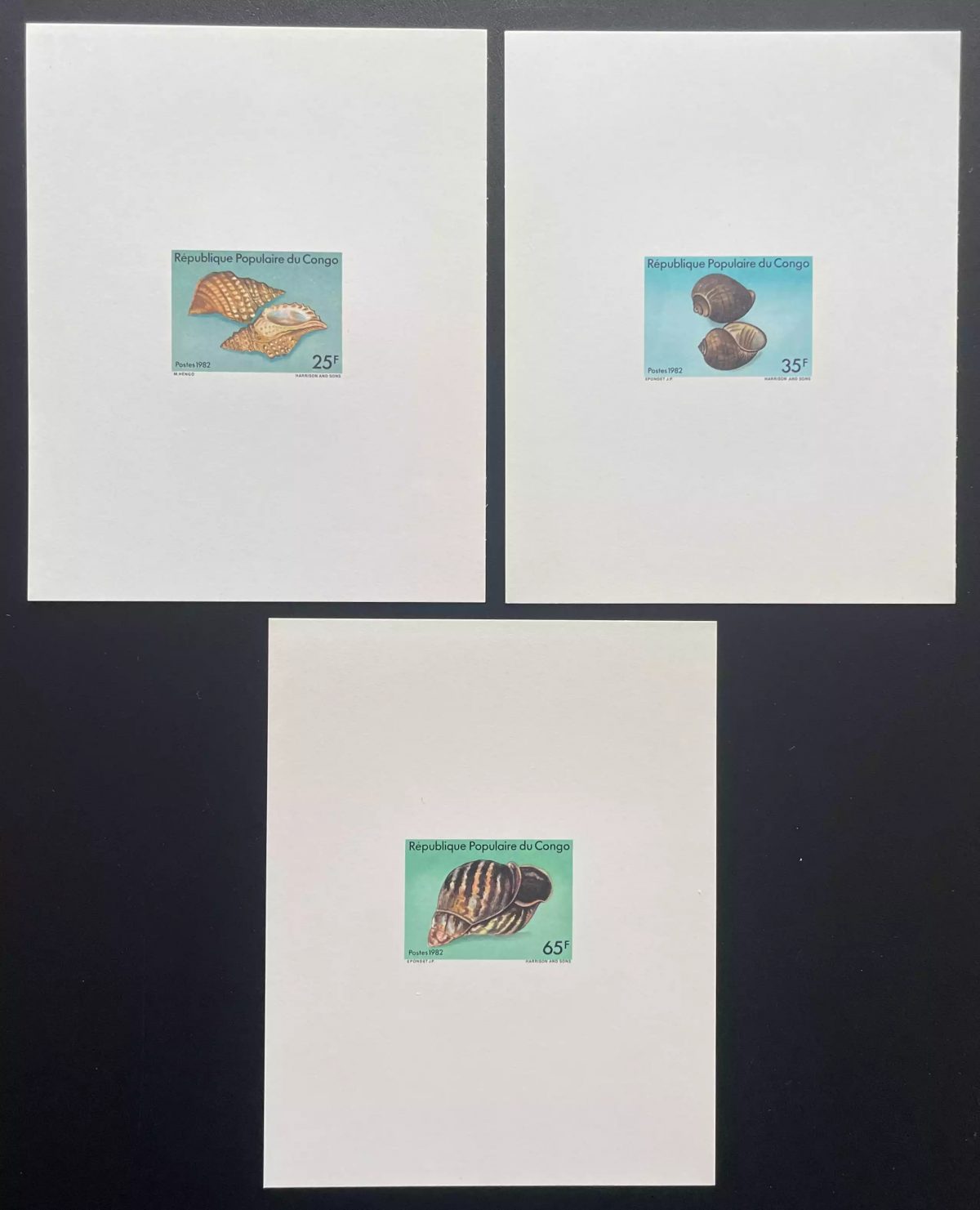 Congo 1982 Mi. 900 - 902 épreuve de luxe coquillages faune marine mollusques