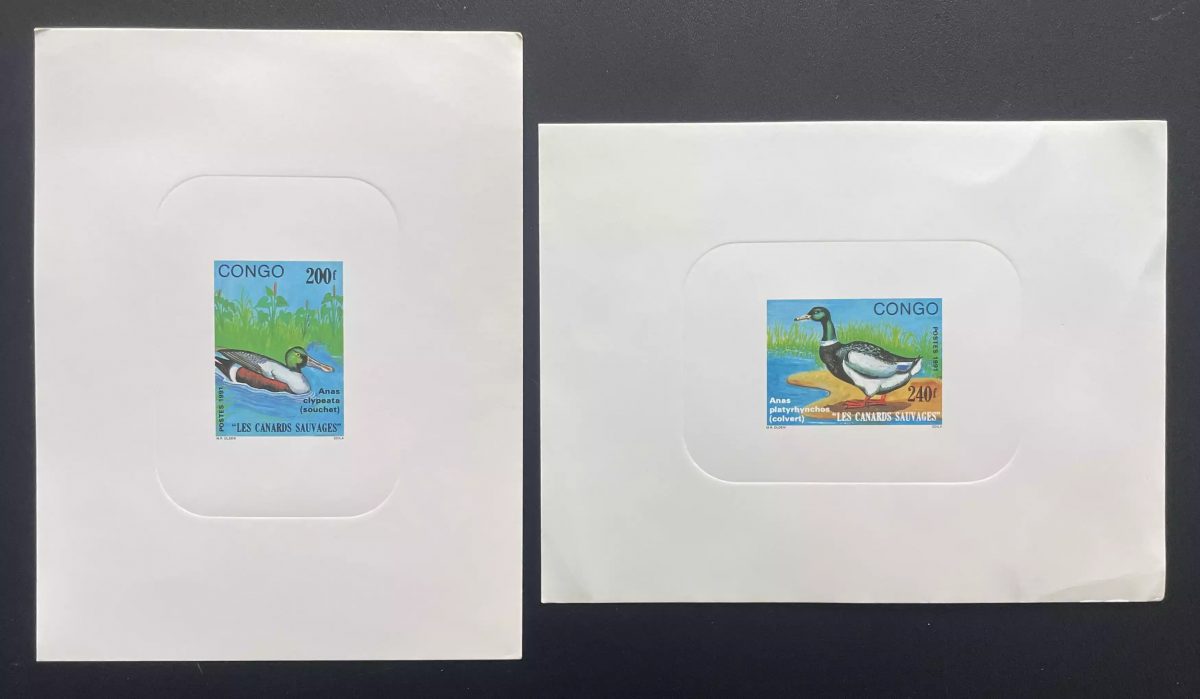 Congo 1991 Mi. 1265 - 1266 épreuve de luxe canards sauvages Anas ducks