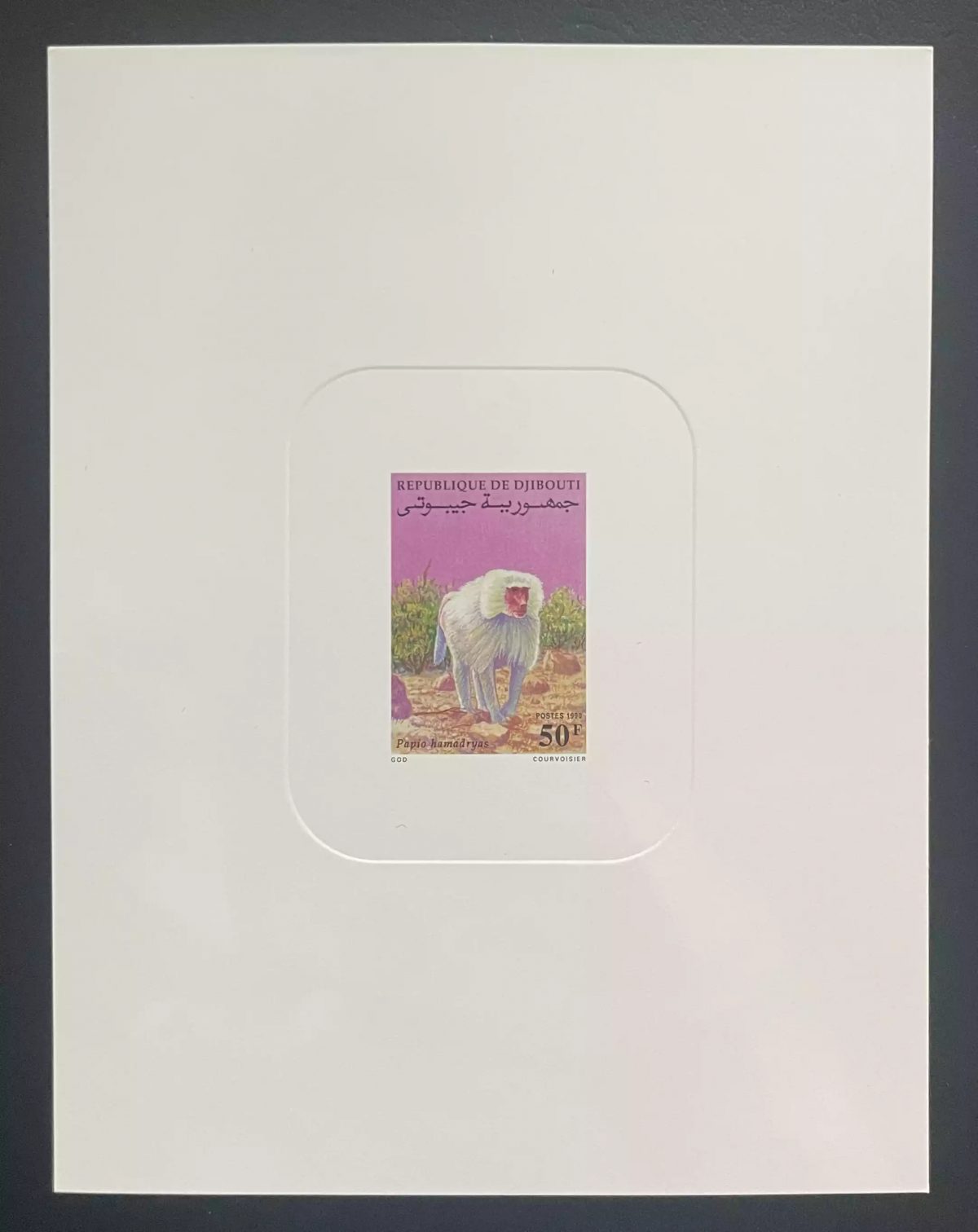 Djibouti 1990 Mi. 545 épreuve de luxe Papio hamadryas babouin faune primate