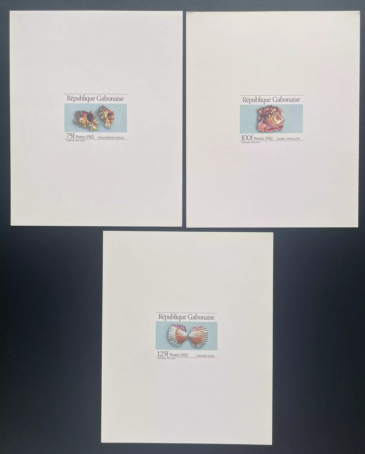 Gabon 1982 Mi. 836 - 838 épreuve de luxe coquillages faune marine