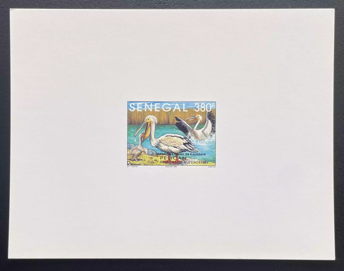Sénégal 1994 Mi. 1289 épreuve de luxe Pélican Pelecanus faune parc Kalissaye