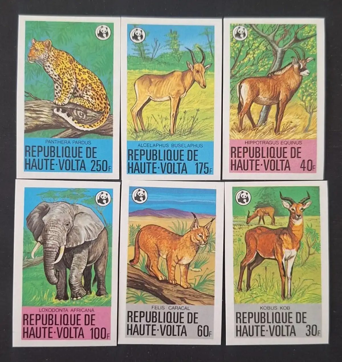 Haute-Volta 1979 Mi. 760-765 ND WWF faune éléphant léopard caracal