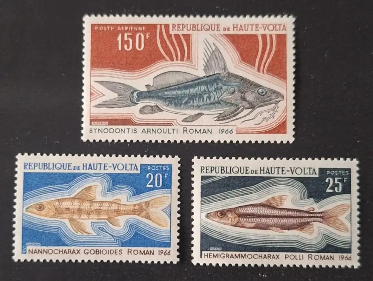 Upper Volta 1969 Mi. 273-275 Fish Aquatic Fauna Synodontis