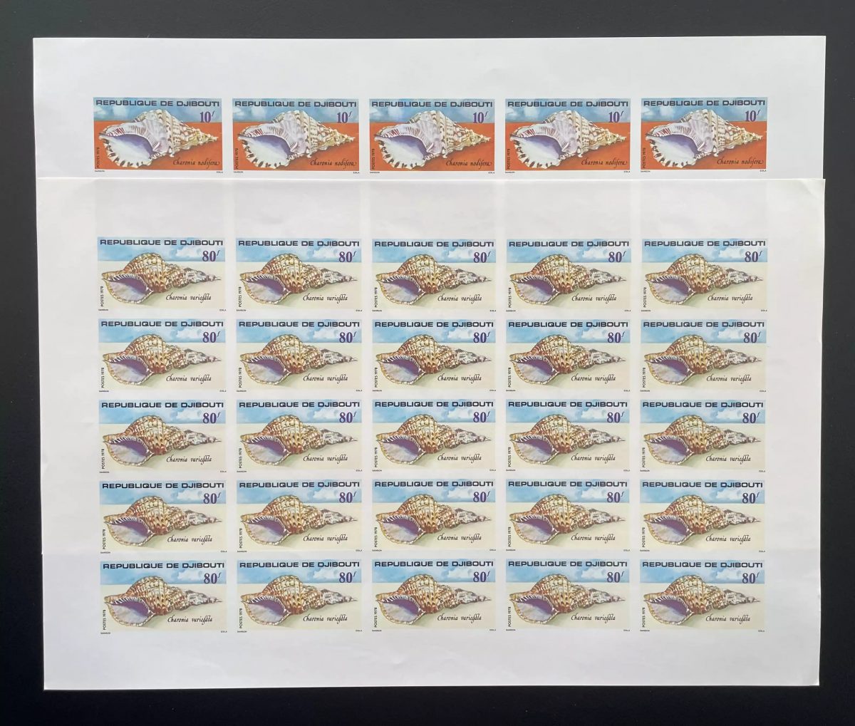 Djibouti 1978 YT 486-487 ND planche coquillages Charonia faune marine