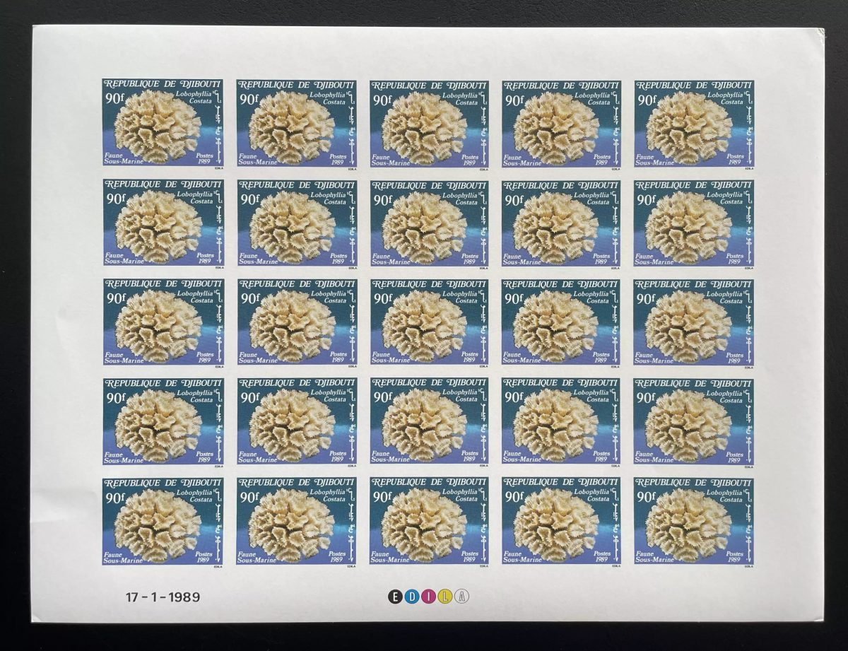 Djibouti 1989 YT 647 ND planche Lobophyllia Costata corail faune marine