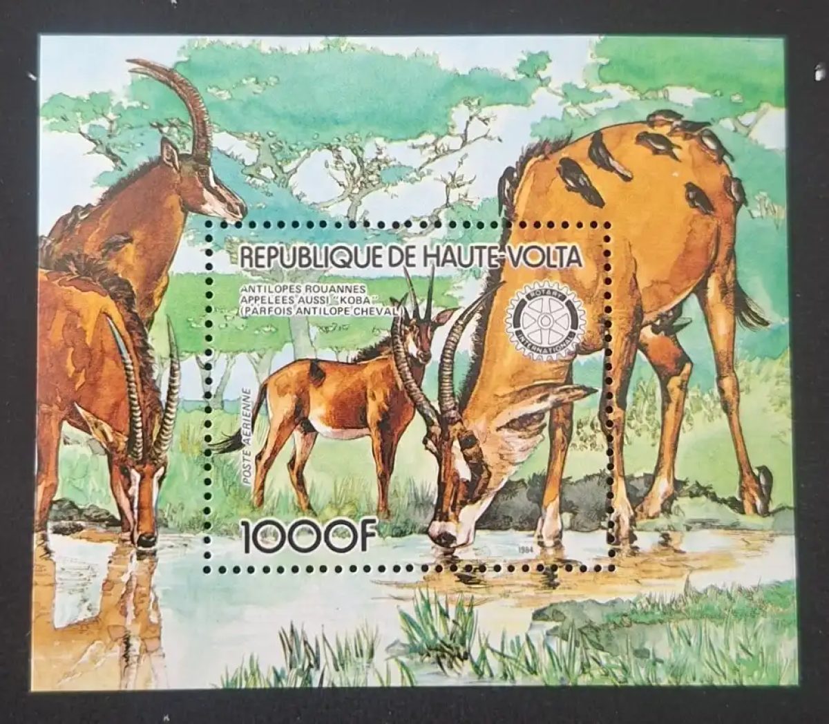 Obervolta 1984 Mi. Bl. 87 Pferdeantilopen Fauna Rotary