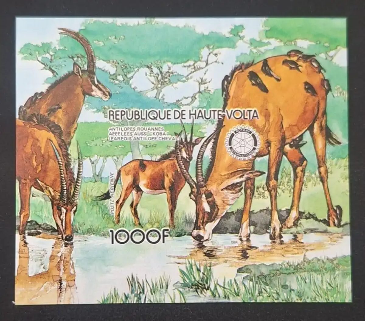 Haute-Volta 1984 Mi. Bl. 87 ND antilopes rouannes koba faune Rotary