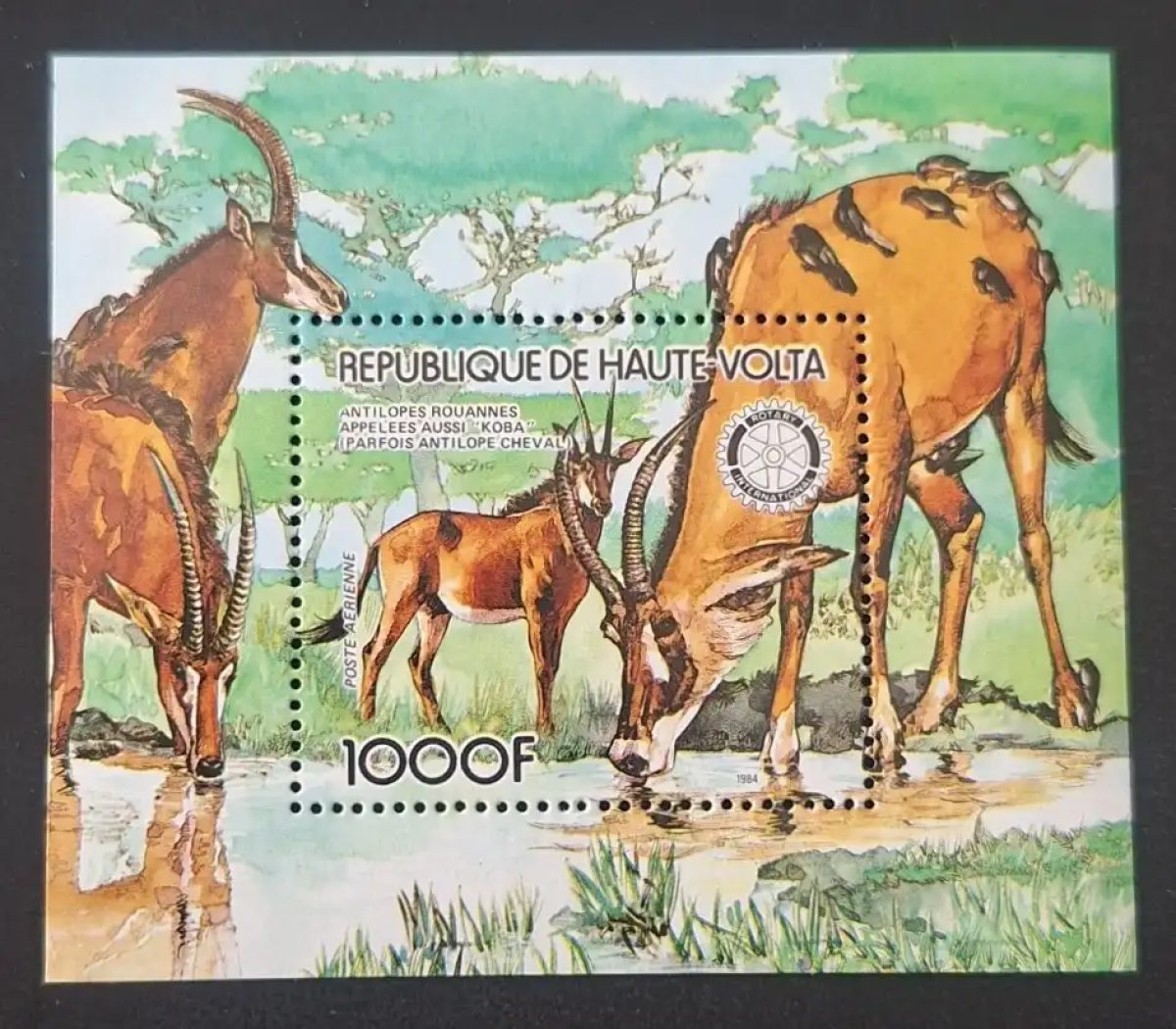 Haute-Volta 1984 Mi. Bl. 87 antilopes rouannes Koba faune Rotary