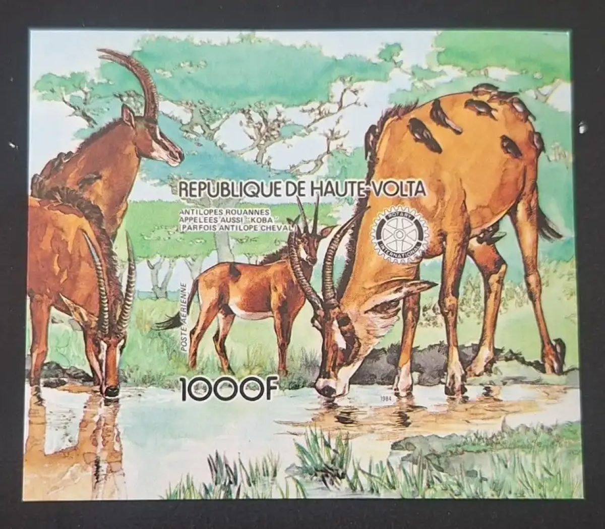 Haute-Volta 1984 Mi. Bl. 87 ND antilopes rouannes koba Rotary faune
