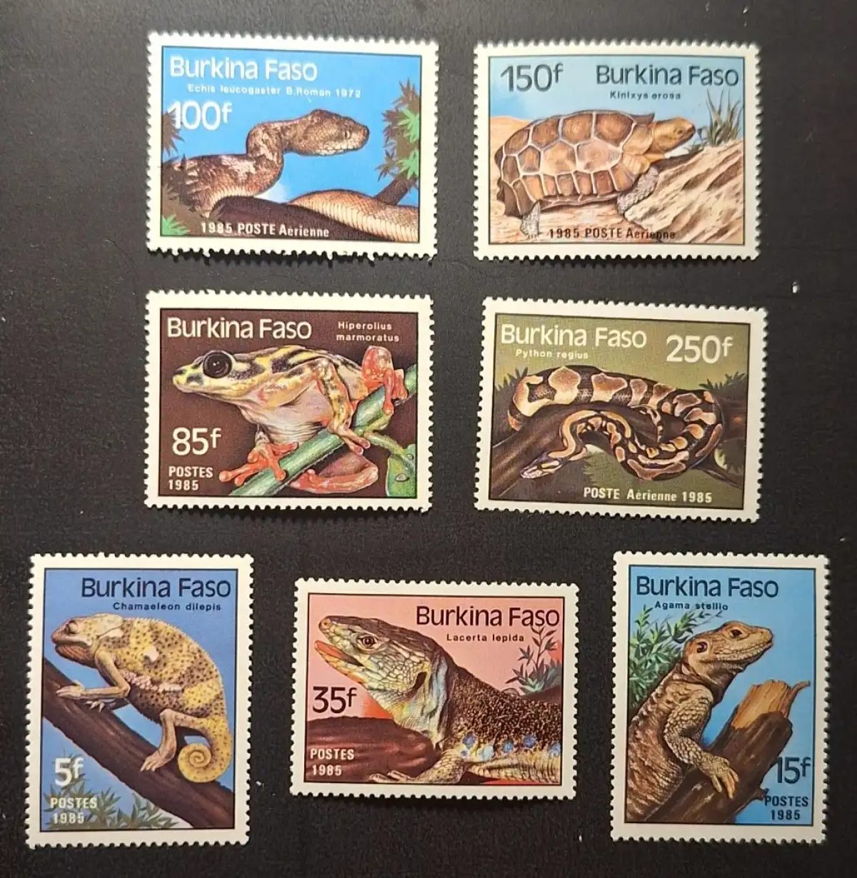 Burkina Faso 1985 Mi. 1005-1011 reptiles serpents tortue caméléon