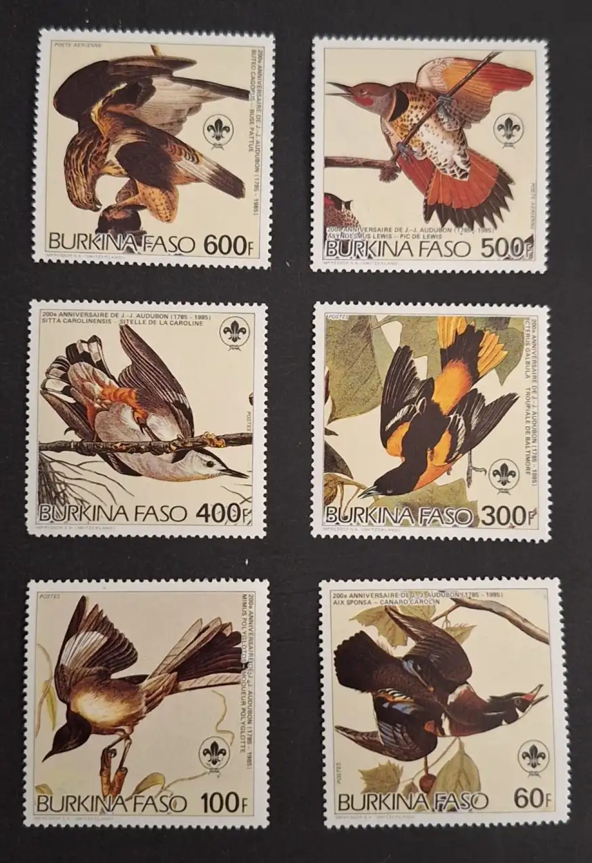 Burkina Faso 1985 Mi. 1028-1033 Audubon oiseaux scoutisme faune