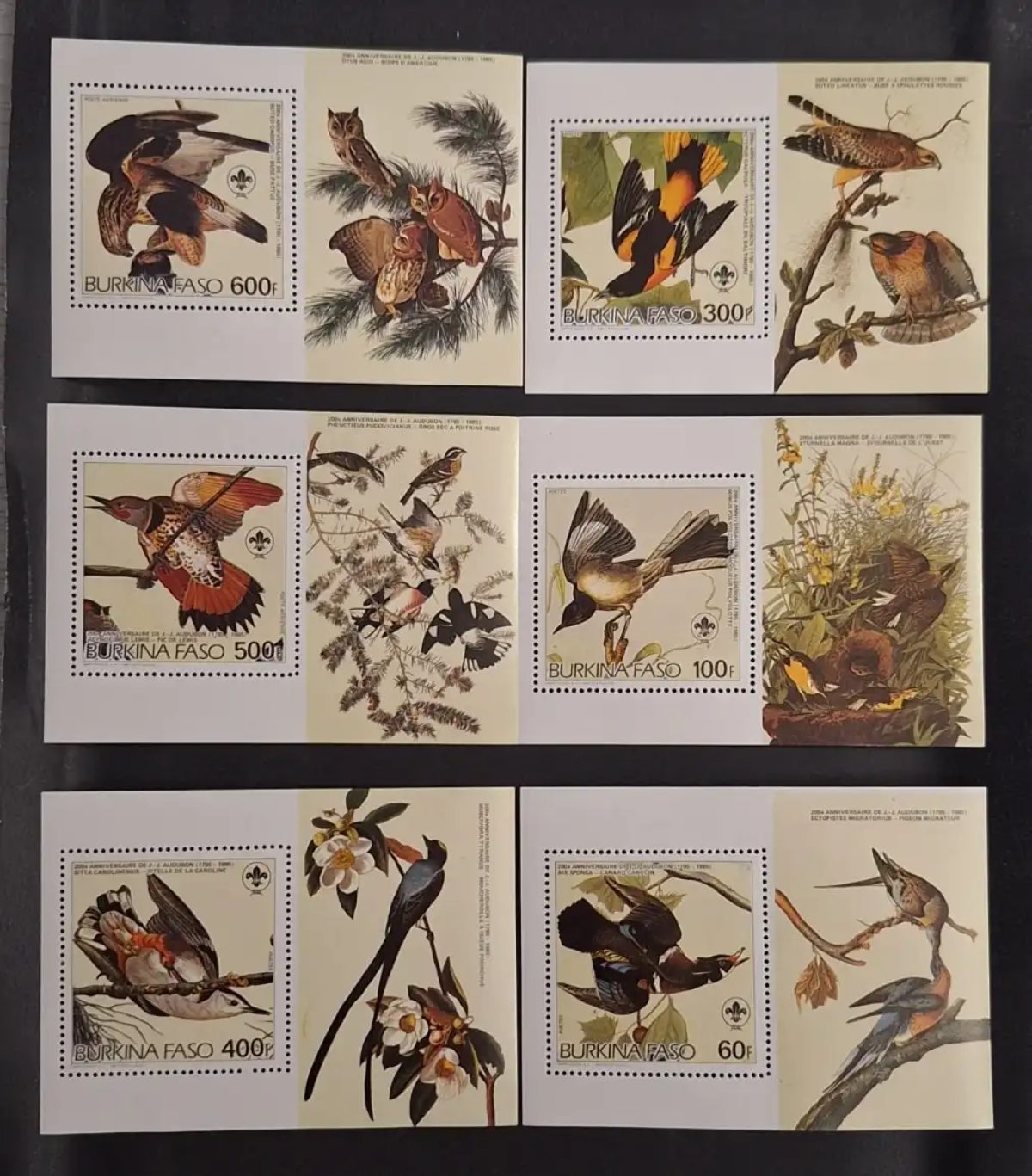 Burkina Faso 1985 Mi. 1028-1033 ND Audubon oiseaux scoutisme