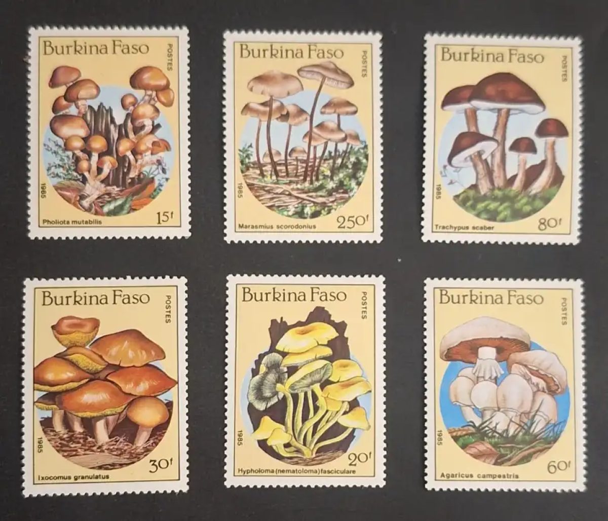Burkina Faso 1985 Mi. 1054-1060 Pilze Pholiota Marasmius Mykologie