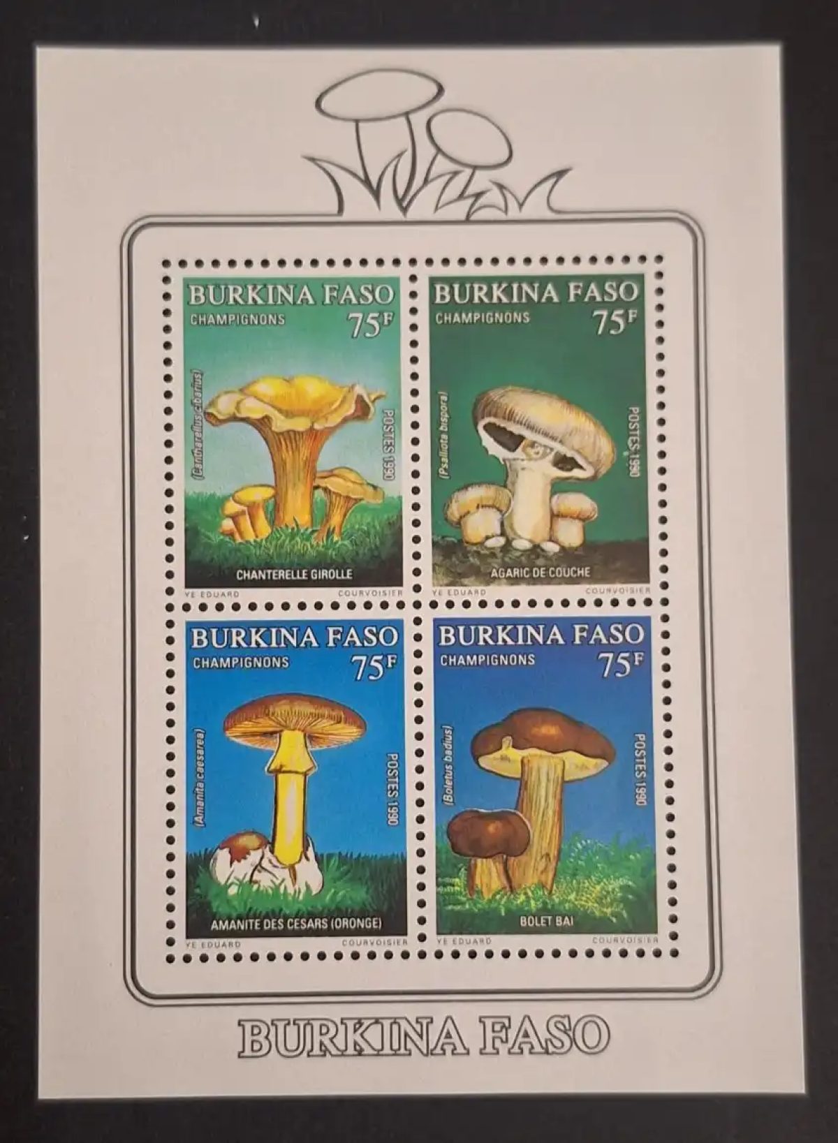 Burkina Faso 1990 Mi. Bl. 134 Pilze Pfifferling Amanita Steinpilz