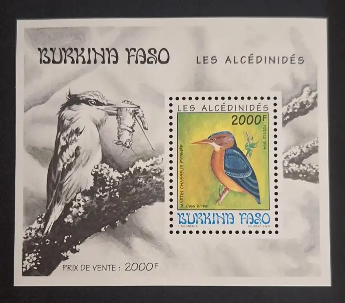 Burkina Faso 1994 Mi. Bl. 140 Alcedinidae Pygmy Kingfisher
