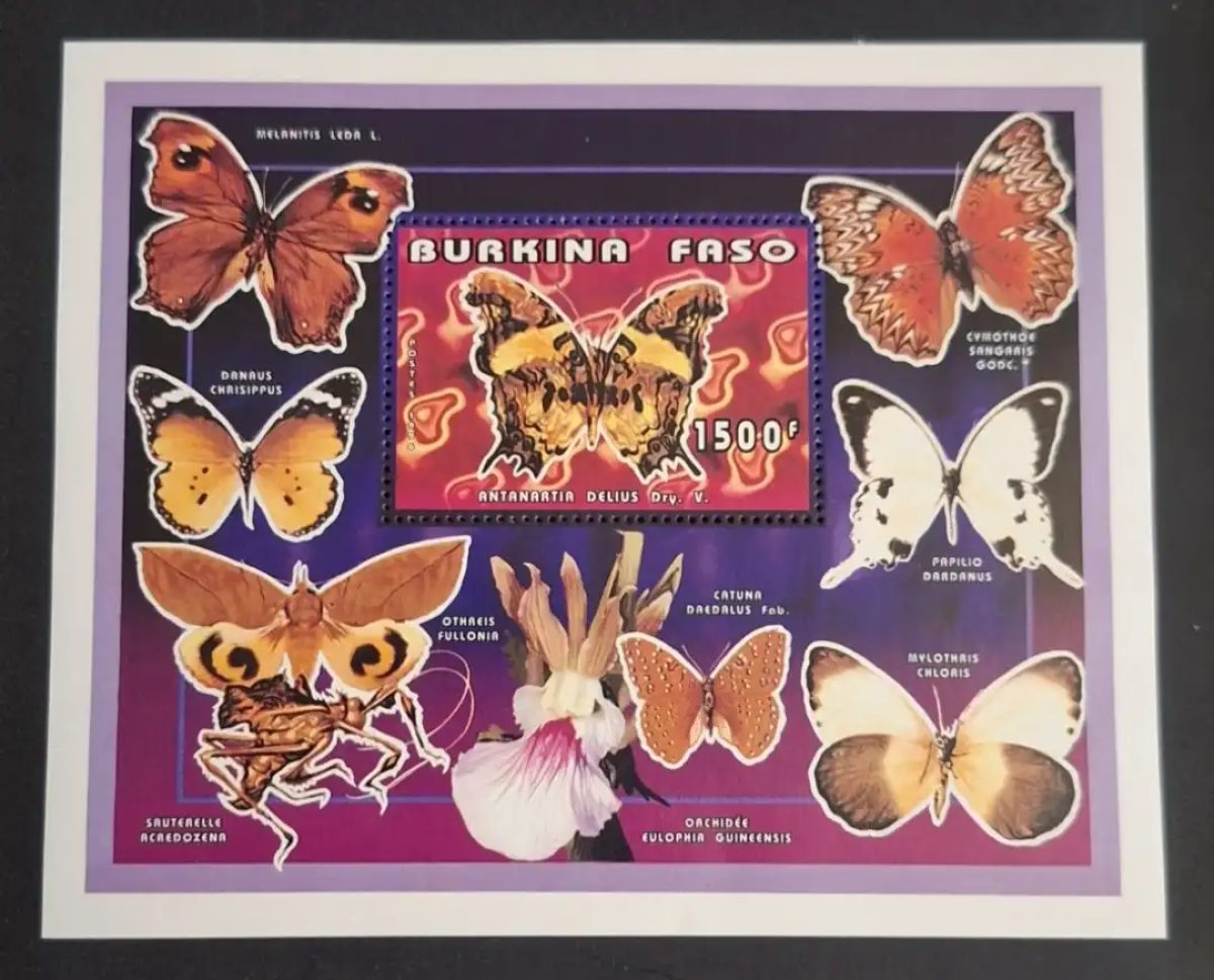 Burkina Faso 1996 Mi. Bl. 170 papillons orchidée insectes Antanartia