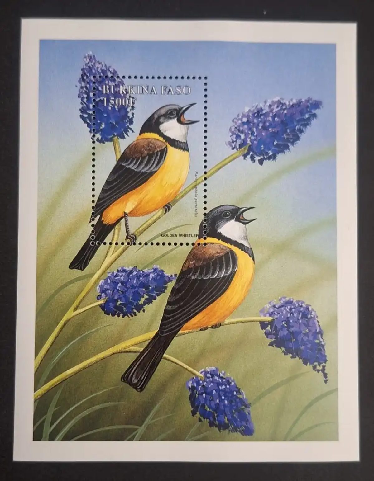 Burkina Faso 1998 Mi. Bl. 178 oiseaux Golden Whistler fleurs