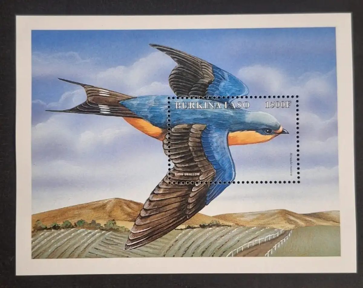 Burkina Faso 1998 Mi. Bl. 179 Hirondelle rustique oiseau faune