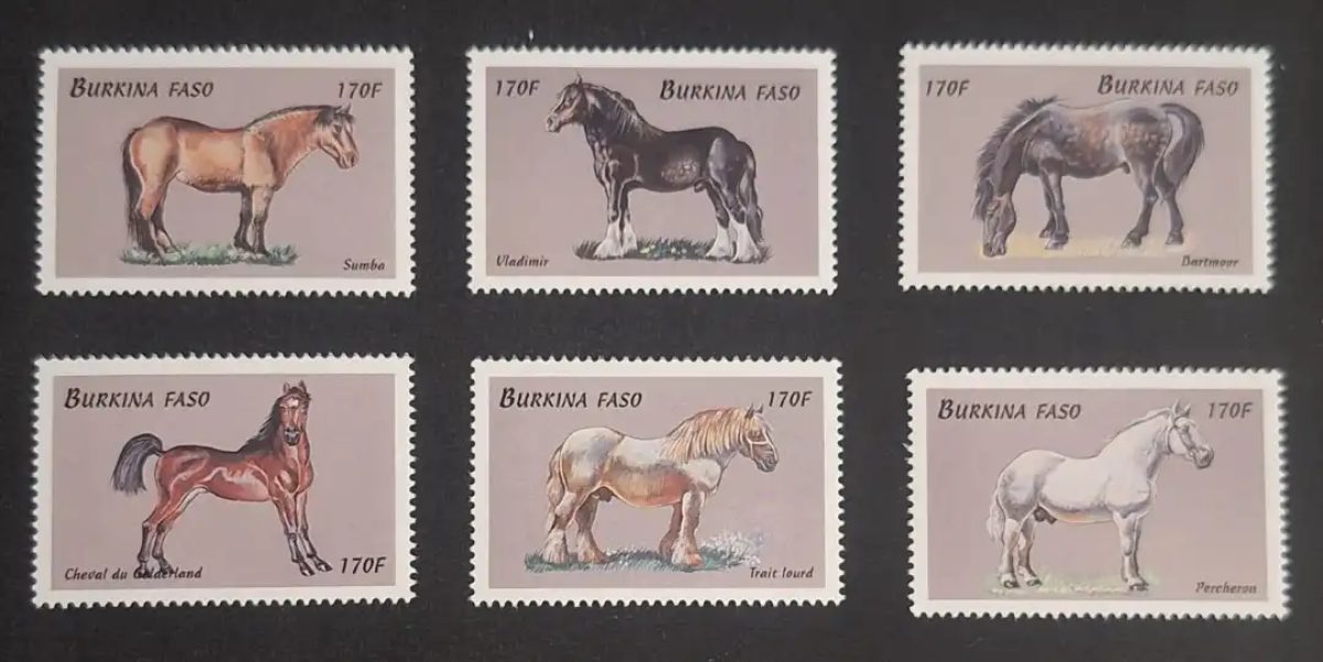Burkina Faso 1999 Mi. 1680-1685 chevaux Percheron Dartmoor Sumba