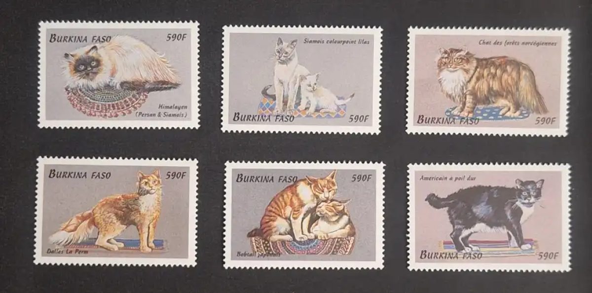 Burkina Faso 1999 Mi. 1694-1699 chats races Himalyen Siamois Norvégien