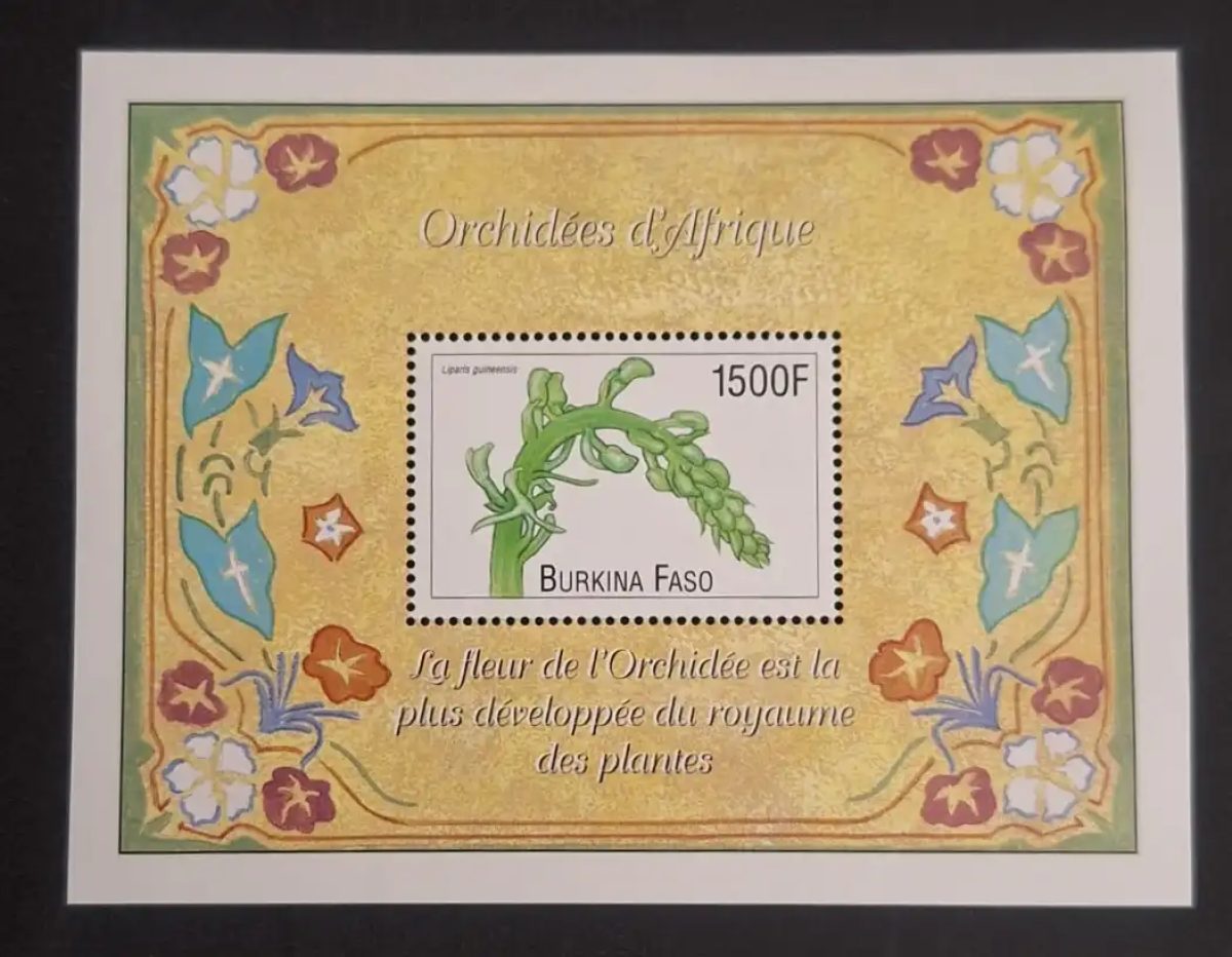 Burkina Faso 2000 Mi. Bl. 198 orchidées Afrique Liparis guineensis