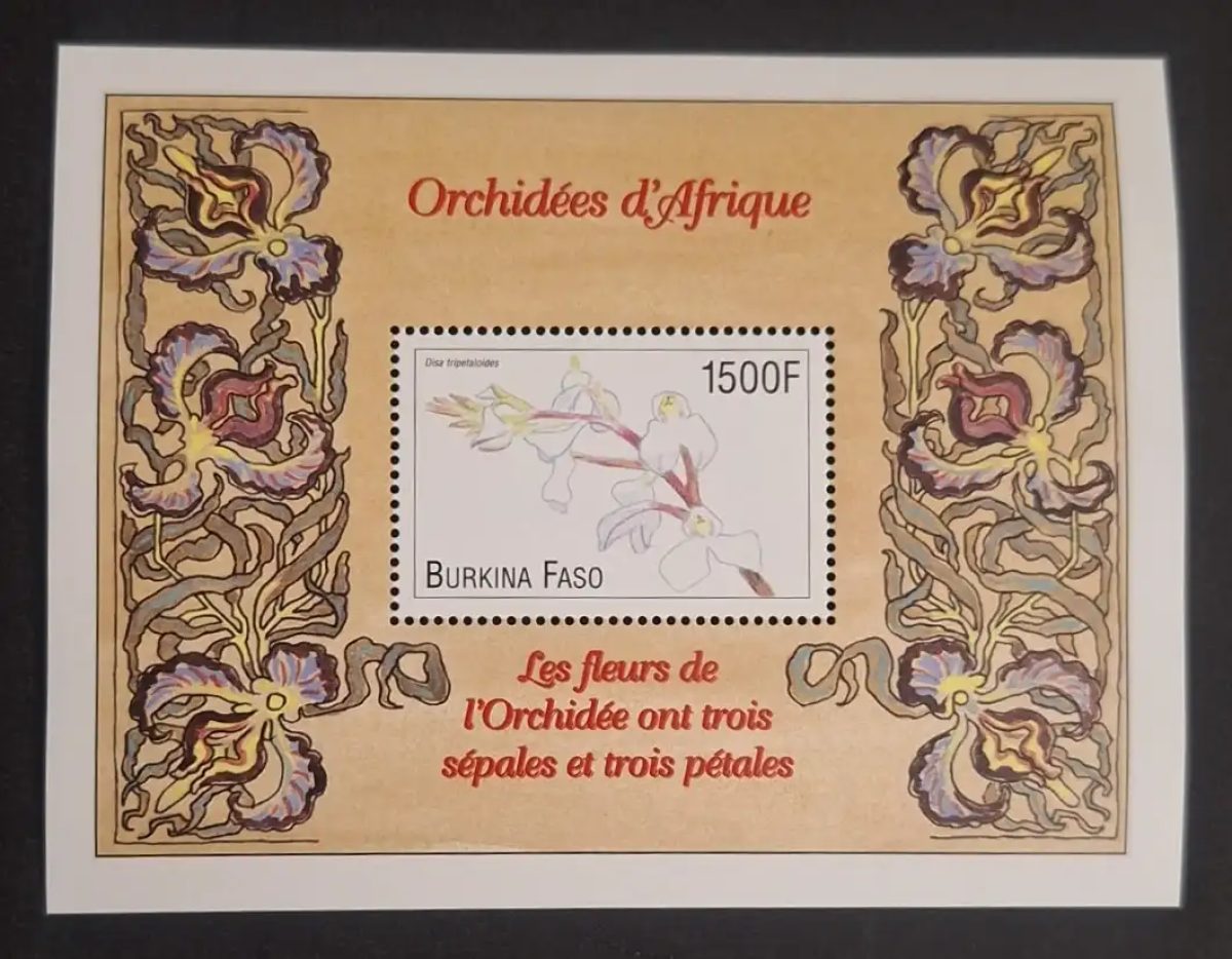 Burkina Faso 2000 Mi. Bl. 199 orchidées Afrique Disa tripetaloides fleurs