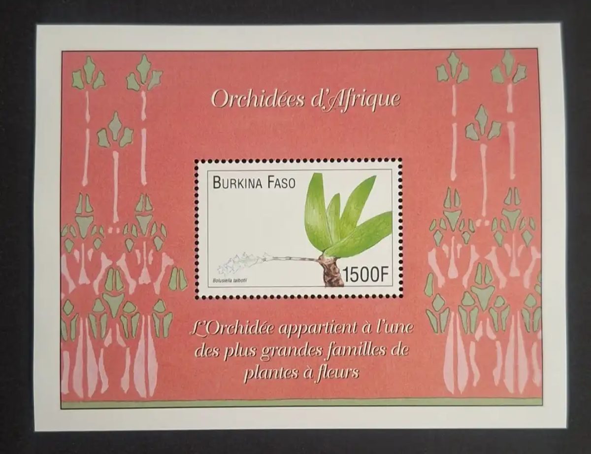 Burkina Faso 2000 Mi. Bl. 200 Orchidées d'Afrique Bolusiella talbotii