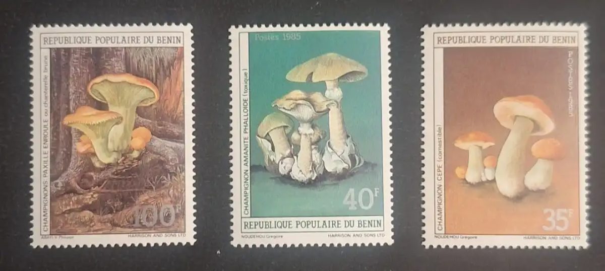 Benin 1985 Mi. 419-421 Pilze Steinpilz Knollenblätterpilz Krempling