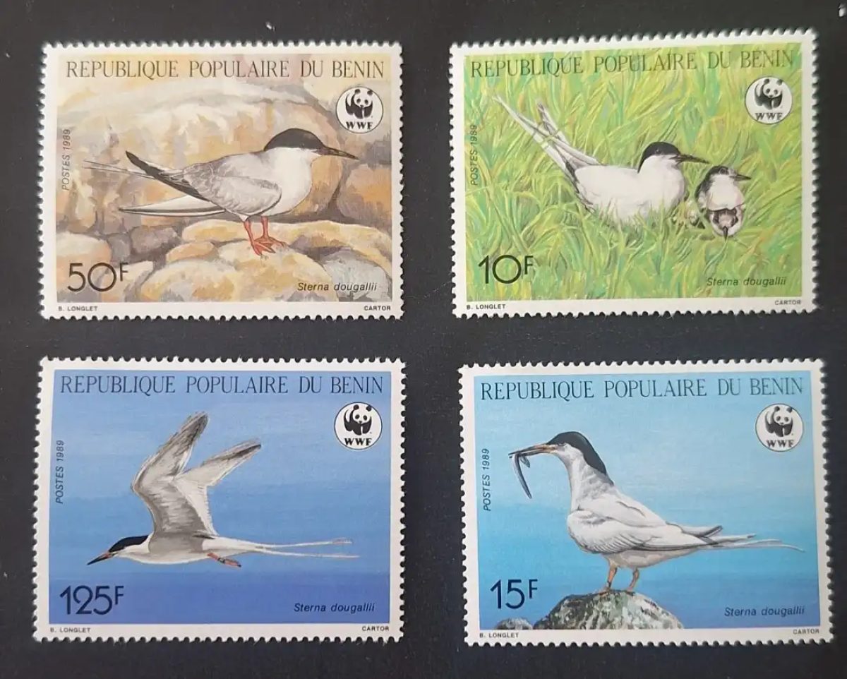 Bénin 1989 Mi. 476-479 WWF Sterna dougallii sterne oiseaux faune