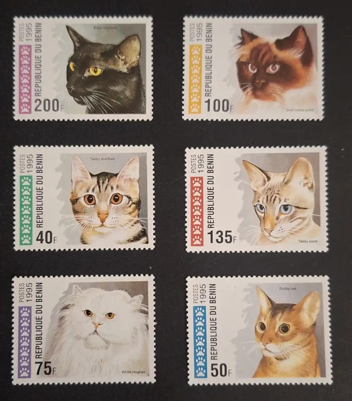 Benin 1995 Mi. 668-673 cats breeds Siamese Persian Abyssinian animals
