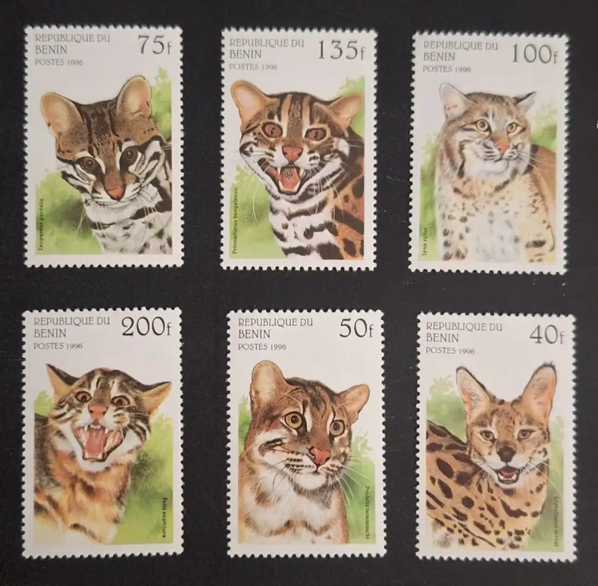 Bénin 1996 Mi. 806-811 félins sauvages ocelot lynx serval faune