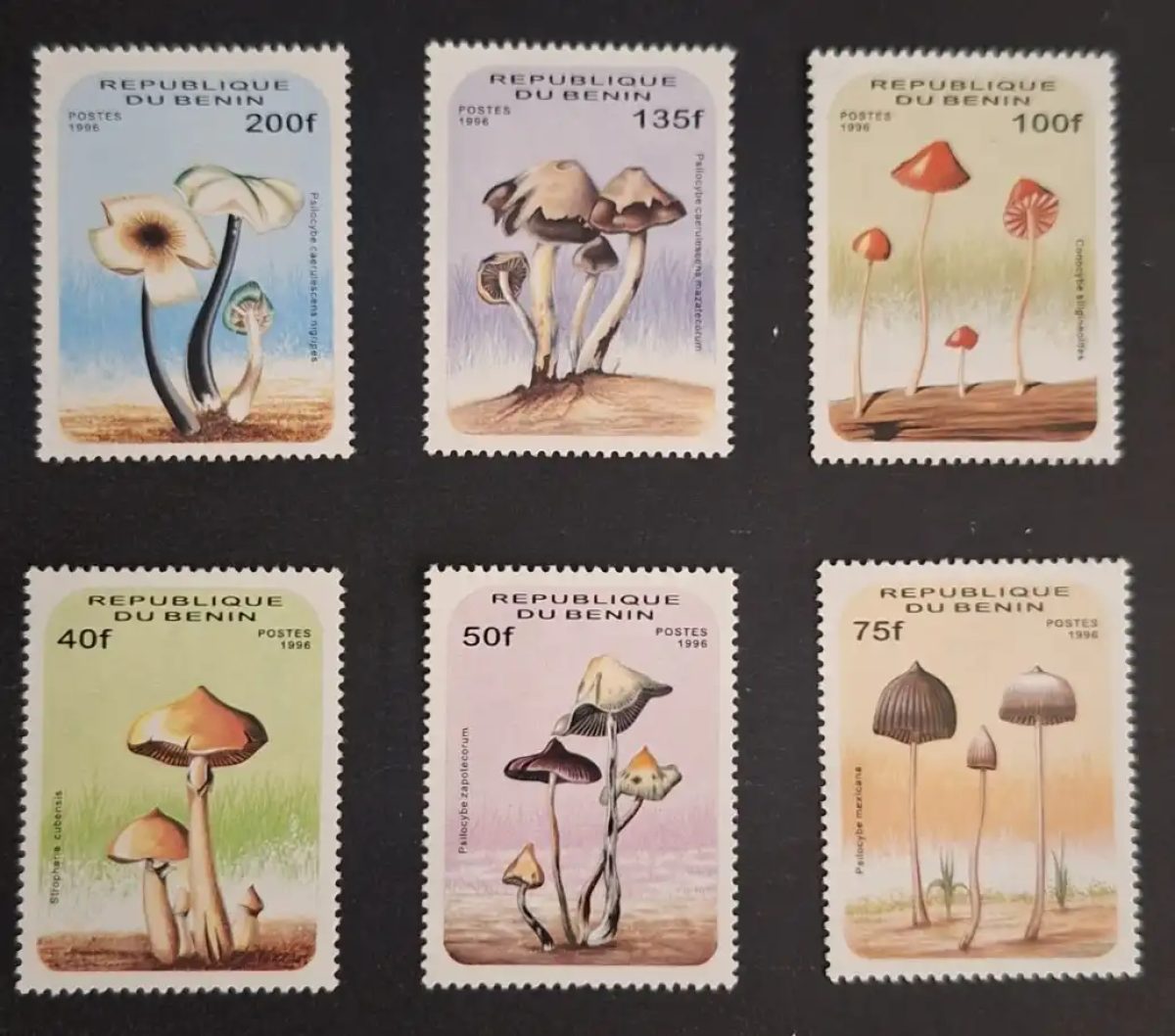 Benin 1996 Mi. 849-854 mushrooms Psilocybe Conocybe mycology flora