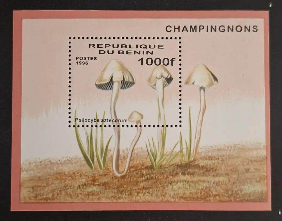 Bénin 1996 Mi. Bl. 22 Champignons Psilocybe aztecorum mycologie