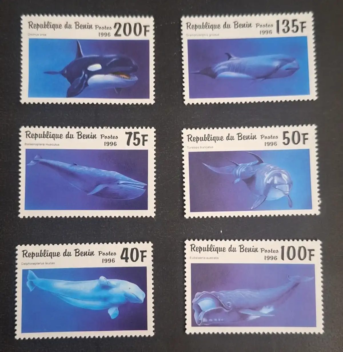 Benin 1996 Mi. 862-867 whales dolphins orca beluga cetaceans fauna
