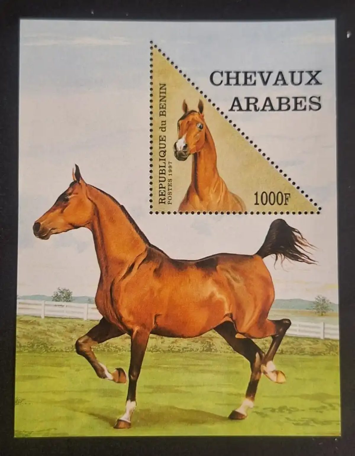 Benin 1997 Mi. Bl. 27 Arabian Horses Fauna Animals Triangular