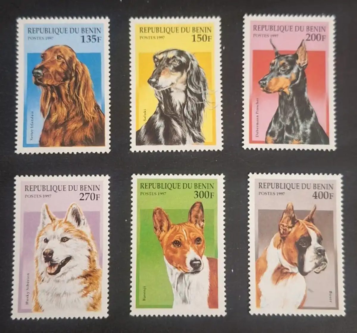 Benin 1997 Mi. 936-941 Dogs Setter Saluki Dobermann Husky Basenji Boxer