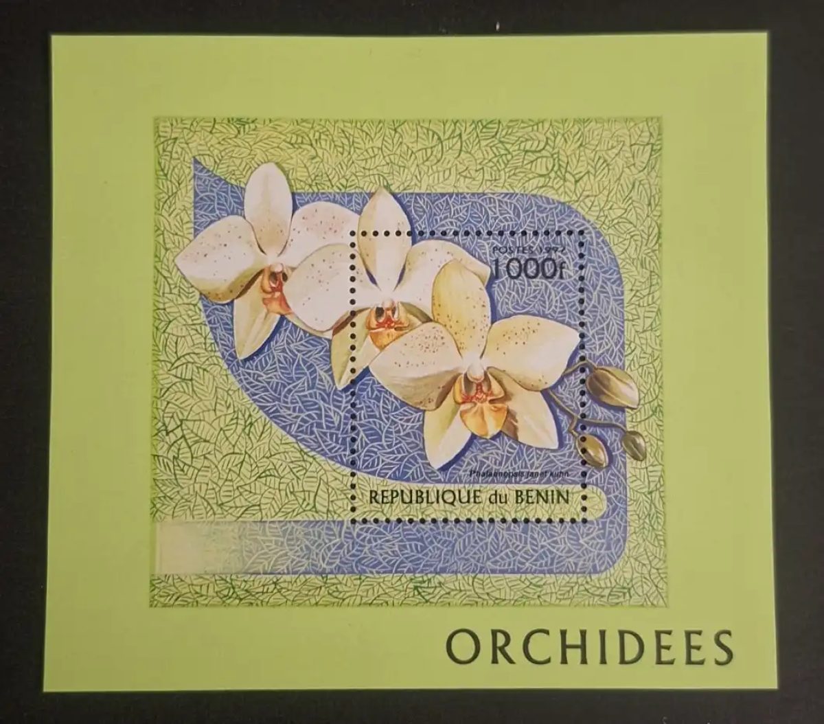 Bénin 1997 Mi. Bl. 29 Orchidées Phalaenopsis fleurs tropicales flora