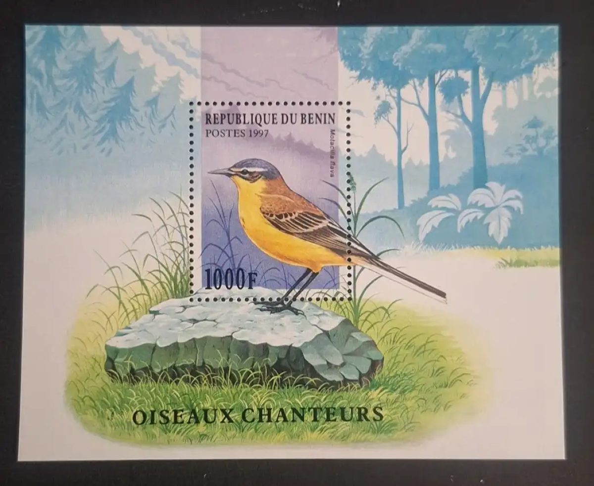Bénin 1997 Mi. Bl. 31 oiseaux chanteurs Motacilla flava bergeronnette
