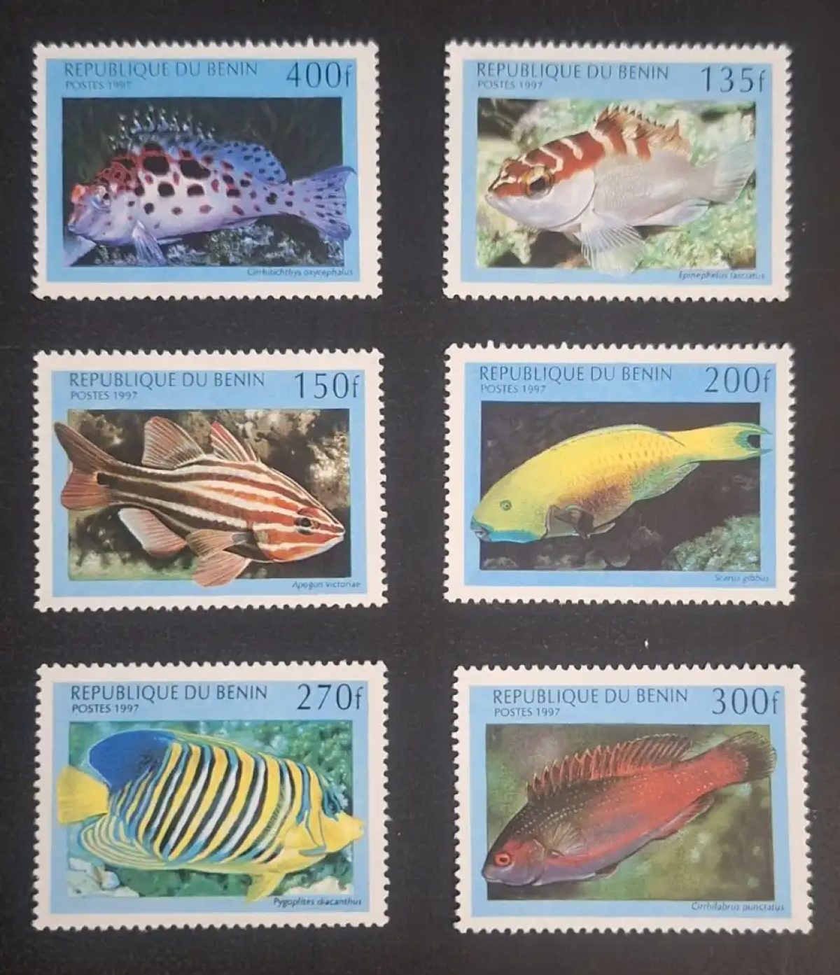Benin 1997 Mi. 978-983 Tropenfische Meeresfauna Korallenriff