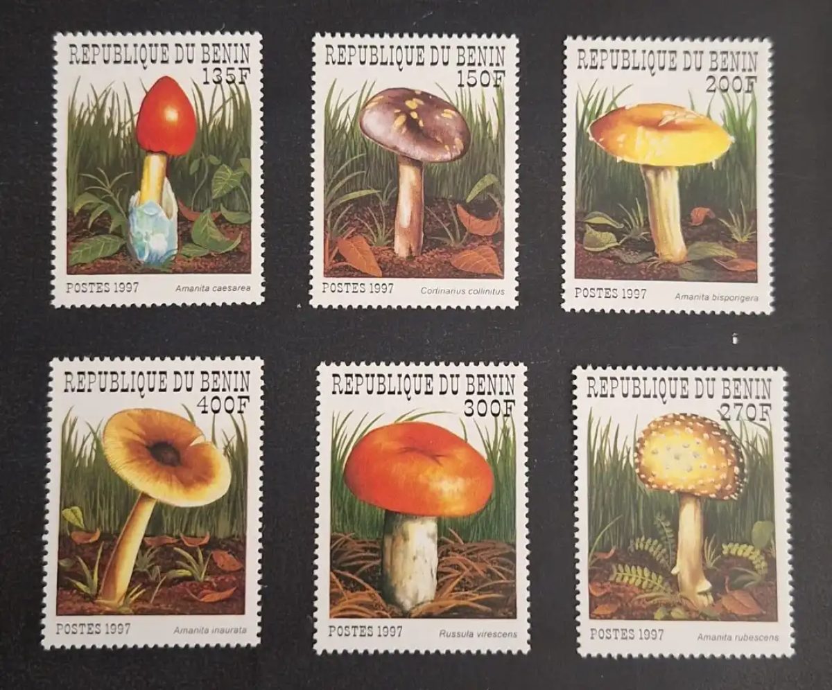 Bénin 1997 Mi. 989-994 champignons Amanita Russula Cortinarius