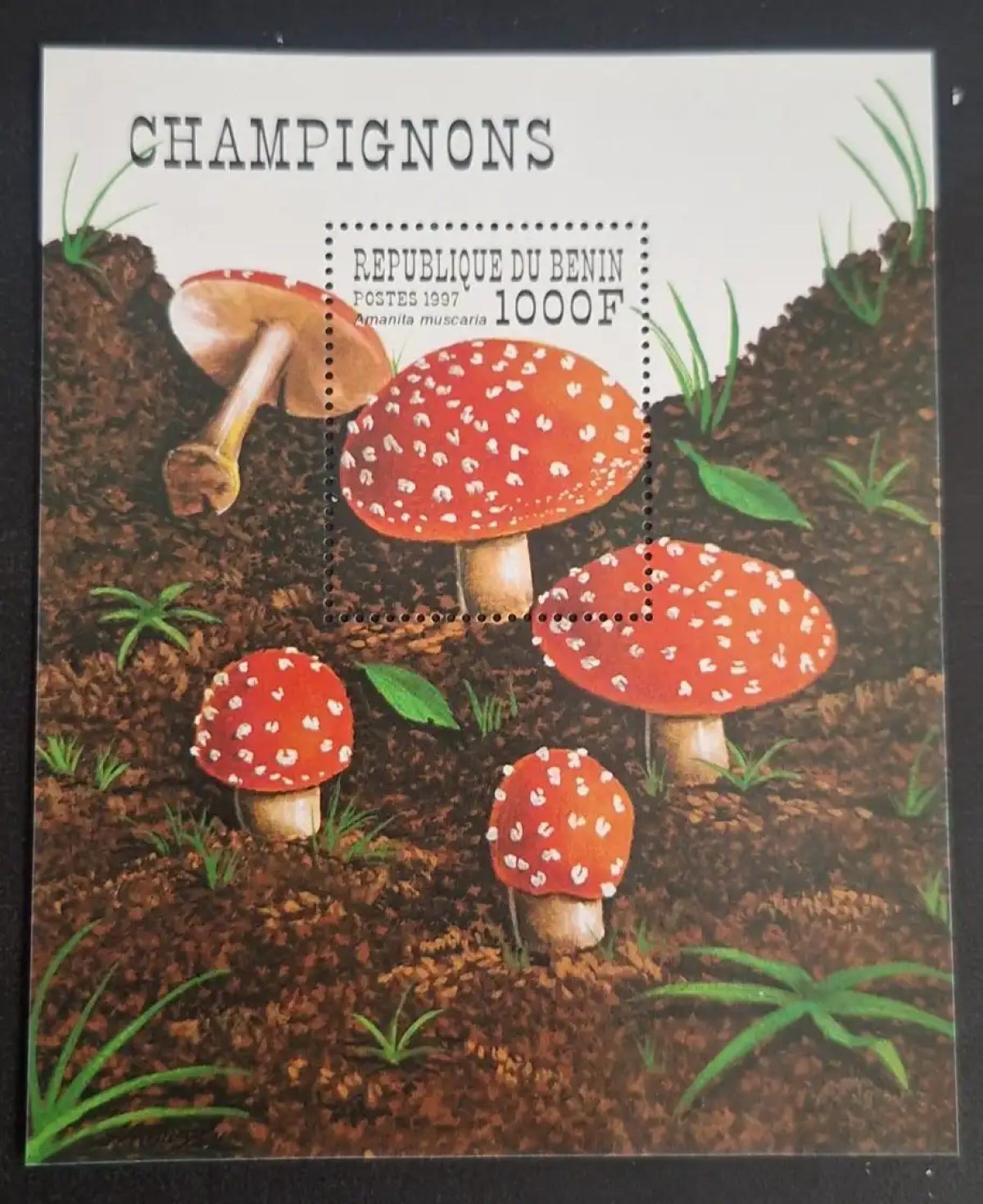 Bénin 1997 Mi. Bl. 35 Champignons Amanite tue-mouches Amanita muscaria