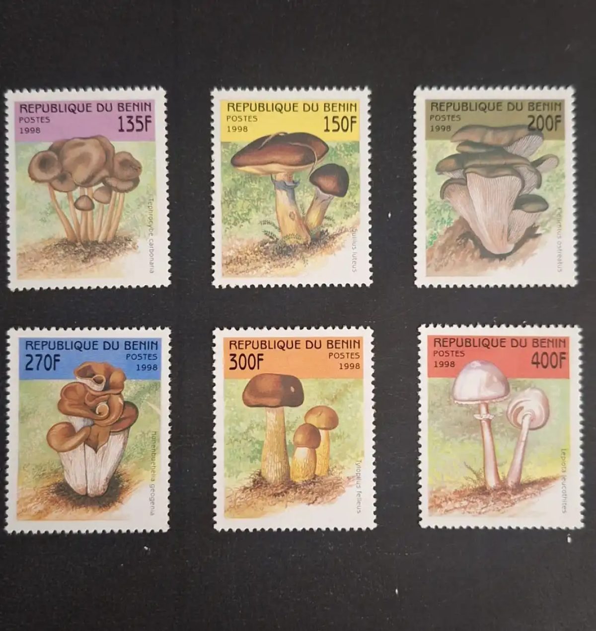 Bénin 1998 Mi. 1003-1008 champignons mycologie flore Suillus Lepiota