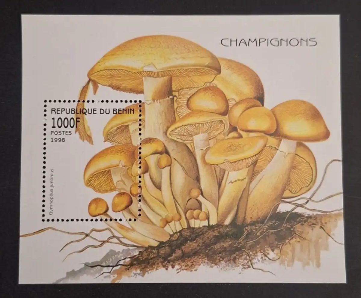 Bénin 1998 Mi. Bl. 37 champignons Gymnopilus junonius mycologie flore
